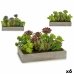 Dekorativ plante Sukkulent Plastik Cement 16,5 x 20 x 28,5 cm (6 enheder)