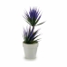 Plantă decorativă Suculent Ceramică Plastic 10 x 30 x 10 cm (12 Unități)