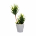 Plante décorative Succulent Céramique Plastique 10 x 30 x 10 cm (12 Unités)