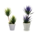 Plante décorative Succulent Céramique Plastique 10 x 30 x 10 cm (12 Unités)