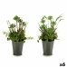 Decoratieve plant Bloemenveld Plastic 20 x 41 x 20 cm (6 Stuks)