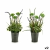 Dekorativna rastlina Sivka Kovina Plastika 13 x 40 x 13 cm (12 kosov)