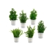 Plantă decorativă Plastic 19 x 26 x 19 cm (12 Unități)