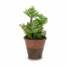 Decoratieve plant Vetplant Plastic 16 x 23 x 16 cm (12 Stuks)