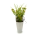 Декоративное растение Цветок Пластик 12 x 30 x 12 cm (12 штук)