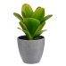 Decoratieve plant Plastic (6 Stuks) (11 x 20 x 11 cm)