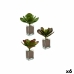 Decoratieve plant Lakens Groot Tweekleurig Plastic 27 x 29 x 27 cm (6 Stuks)