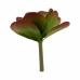 Декоративно Растение Листи Широк Двуцветен Пластмаса 27 x 29 x 27 cm (6 броя)