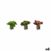 Декоративно Растение Листи Широк Двуцветен Пластмаса 31 x 24 x 31 cm (6 броя)