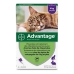 Antiparasiten Advantage Katze Hase +4 Kg 4 Stück 0,8 ml