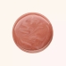 Barvni Balzam za Ustnice Catrice Marble-Licious Nº 030 Don't Be Shaky 4 ml