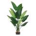 Dekorationspflanze 80 x 75 x 180 cm grün Paradiesvogelblume