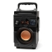 Dankzij de draagbare Bluetooth®-luidsprekers SQUEAK SQ1001 Zwart 20 W