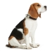 Dog collar Hunter Alu-Strong Grey Size L (45-65 cm)