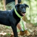 Hundehalsbånd Hunter Vario Plus Tråder Størrelse L Lime (40-60 cm)