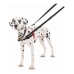 Imbracatura per Cani Company of Animals Halti Nero/Rosso L (80-120 cm)
