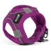Suņu drošības siksna Gloria Air Mesh Trek Star Adjustable Violets L (33,4-35 cm)
