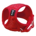 Dog Harness Gloria Points 27-35 cm Red Size M