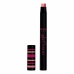 2 in 1 huule- ja silmalainer Lip Duo Sculpt Bourjois