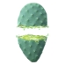 Fugtgivende ansigtscreme Cactus Opuntia 24h Weleda (30 ml)
