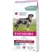 Hundefutter Eukanuba Daily Care Erwachsener Lachsfarben 12 kg