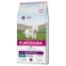 Foder Eukanuba Daily Care Sensitive Skin Vuxen Fisk 12 kg