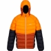 Men's Rainproof Jacket Regatta Harrock II Ora Dark Orange