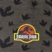 Czapka dziecięca Jurassic Park Ciemny szary (Jeden rozmiar)
