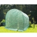 Greenhouse Polyethylene 2 x 3 m
