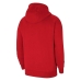 Vyriškas džemperis su gobtuvu  FLC PARK20 PO Nike CW6894 657  Raudona