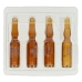 Ampoules Endocare Anti-ageing (1 ml x 7)