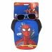 Sæt med kasket og solbriller Spider-Man Børns 2 Dele