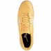 Взрослые кроссовки для футзала Mizuno Mrl Sala Club IN Жёлтый