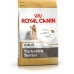Φαγητό για ζώα Royal Canin Yorkshire Terrier Ενηλίκων 500 g