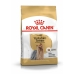 Φαγητό για ζώα Royal Canin Yorkshire Terrier Ενηλίκων Πουλιά 3 Kg