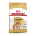 Hundefutter Royal Canin BHN Breed Pomaranian Erwachsener 500 g