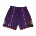 Basketball shorts til mænd Mitchell & Ness Toronto Raptor Blå Violet
