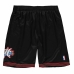 Спортивные мужские шорты для баскетбола Mitchell & Ness Philadelphia 76ERS Чёрный
