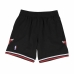 Спортивные мужские шорты для баскетбола Mitchell & Ness Chicago Bulls Чёрный