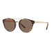 Мъжки слънчеви очила Ralph Lauren RL 8210