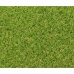 Umělá tráva Exelgreen Campus 2D 1 x 5 m 25 mm