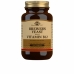 Panimohiiva B12-vitamiinilla Solgar   250 osaa