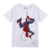 T shirt à manches courtes Enfant Spider-Man Blanc