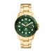 Men's Watch Fossil FS6030 Green