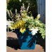 Plant pot Riviera 40 x 40 cm Blue