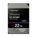 Trdi Disk Western Digital Ultrastar DC HC580 WUH722422ALE6L4 3,5