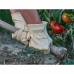 Zahradnické rukavice JUBA Posílené 10