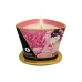 Masážní svíčky Shunga 6507_13489 Růží