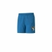 Men's Sports Shorts Puma Summer Cat Graphic Vallarta Blue