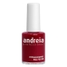 nail polish Andreia Professional Hypoallergenic Nº 117 (14 ml)
